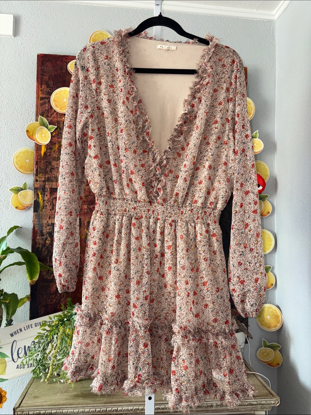 Long Sleeve Floral Ruffle V-Neck Mini Dress - Cream/ Red, L, Beverly
